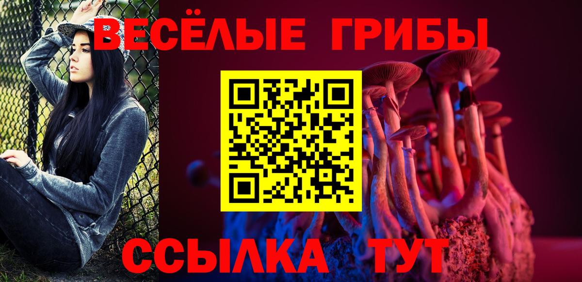 Галлюциногенные грибы прущие грибы  Вход с VPN  Калач-на-Дону 